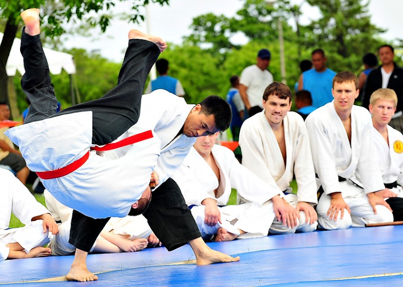 Hapkido Picture 800x570 - ورزش رزمی هاپکیدو | آموزش و اصول